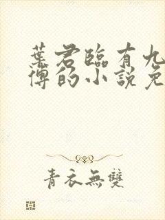 叶君临有九个师傅的小说免费