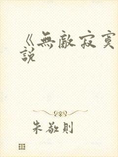 《无敌寂寞》小说
