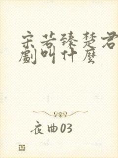 宋若臻楚君霆短剧叫什么