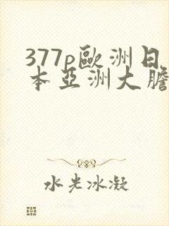 377p欧洲日本亚洲大胆