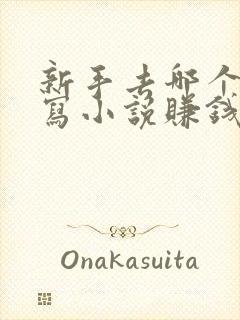 新手去哪个平台写小说赚钱