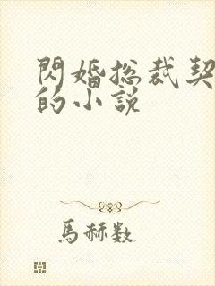 闪婚总裁契约妻的小说