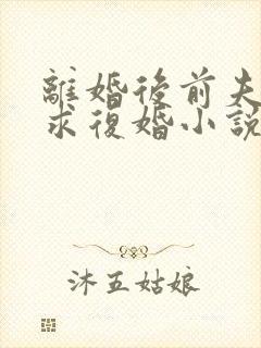 离婚后前夫哭着求复婚小说完整版本