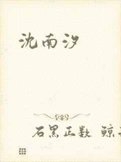 沈南汐封面