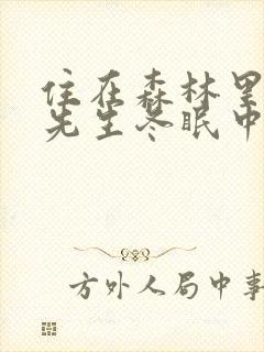 住在森林里的熊先生冬眠中