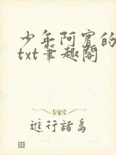 少年阿宾的小说txt笔趣阁