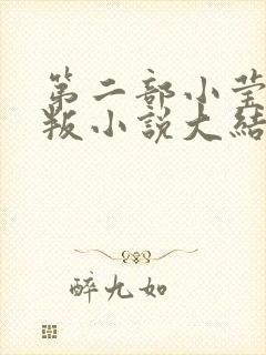 第二部小莹的背叛小说大结局