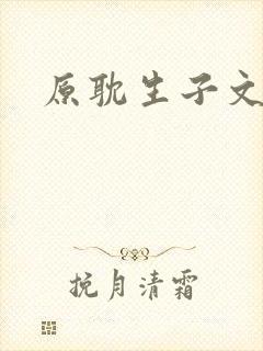 原耽生子文封面