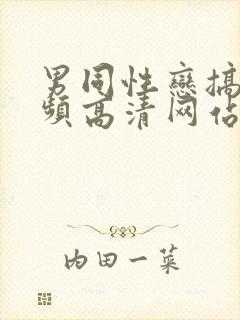 男同性恋搞基视频高清网站chinese gay封面