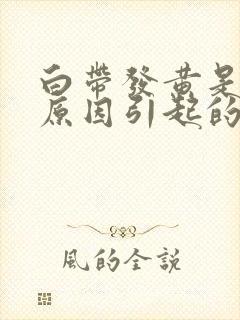 白带发黄是什么原因引起的