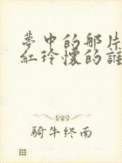 梦中的那片海贺红玲怀的谁的孩子