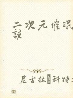 二次元催眠h小说