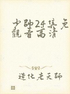 少帅24集免费观看高清