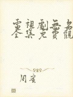 电视剧无名卫士全集免费观看