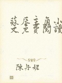 苏辰主角小说全文免费阅读