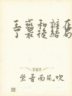 王燕和谁在一起了最后结局封面