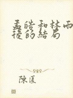 孟皓和林雨馨最后的结局