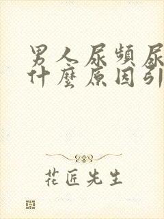 男人尿频尿黄是什么原因引起的封面