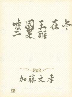 嘘国王在冬眠男二是谁封面