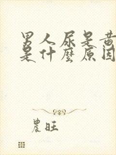 男人尿是黄色的是什么原因