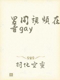 男同视频在线观看gay