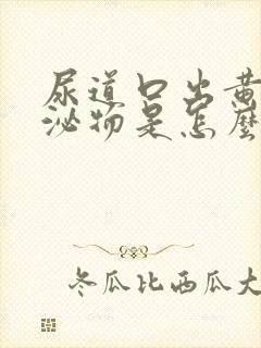 尿道口出黄色分泌物是怎么回事封面