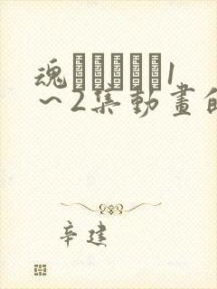 魂インサート1～2集动画的免费观看方