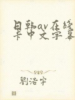 日韩av在线不卡中文字幕