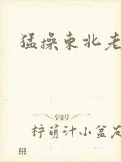 猛操东北老女人