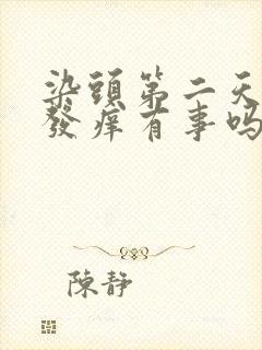 染头第二天头皮发痒有事吗