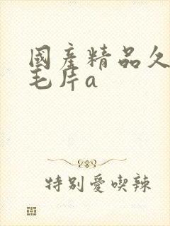 国产精品久久久毛片a封面