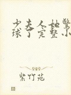 少夫人她惊艳全球了完整小说