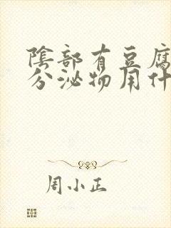 阴部有豆腐渣样分泌物用什么药