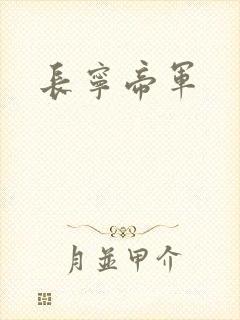 长宁帝军封面