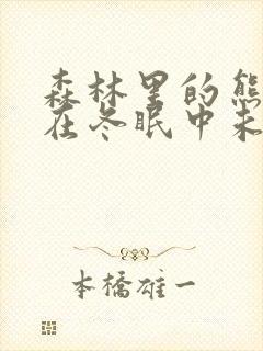 森林里的熊先生在冬眠中未增减版动漫第二季