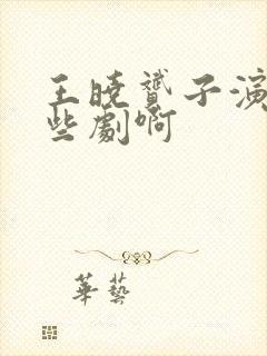 王晓赟子演过哪些剧啊