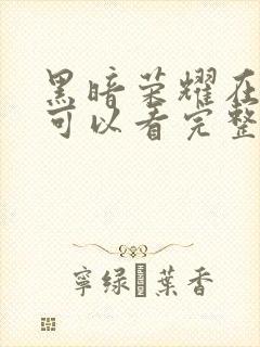 黑暗荣耀在哪儿可以看完整版封面