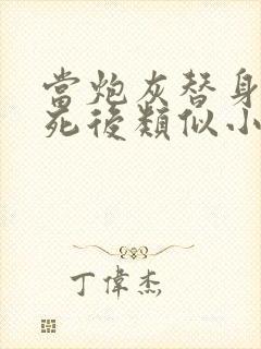 当炮灰替身的我死后类似小说