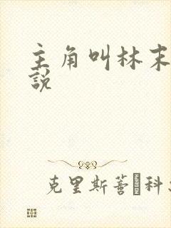主角叫林末的小说