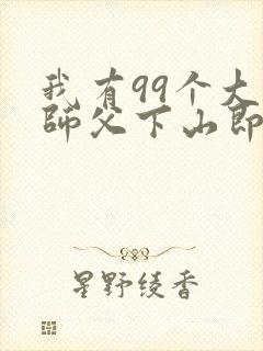 我有99个大佬师父下山即无敌叶北辰小说