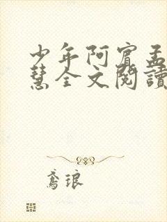 少年阿宾孟卉钰慧全文阅读封面