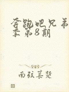 奔跑吧兄弟第1季第8期封面