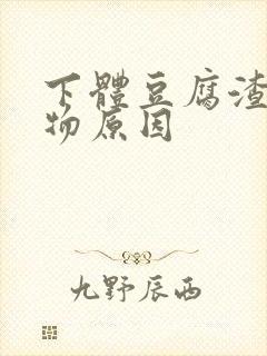 下体豆腐渣分泌物原因