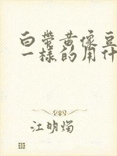 白带黄像豆腐渣一样的用什么药封面