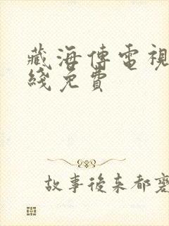 藏海传电视剧在线免费封面