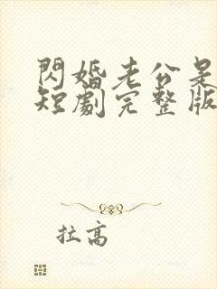 闪婚老公是豪门短剧完整版