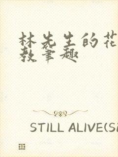 林先生的花式管教笔趣