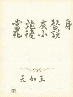 当炮灰替身的我死后小说封面