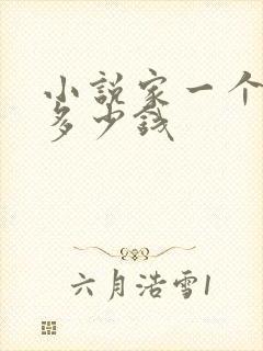 小说家一个月挣多少钱