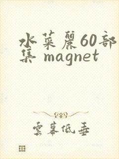 水菜丽60部合集 magnet
